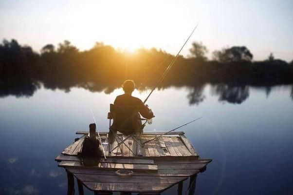 金龍魚大概多少錢一條?：關(guān)于金龍魚價(jià)格的一些疑問 水族問答 第2張