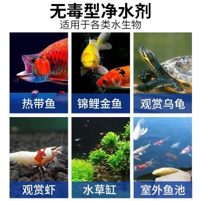 金龍魚稻花香米10斤多少錢一袋 水族問答 第2張