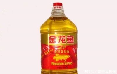 金龍魚高端食用油的價(jià)格區(qū)間是多少？：金龍魚食用油價(jià)格 金龍魚百科 第5張