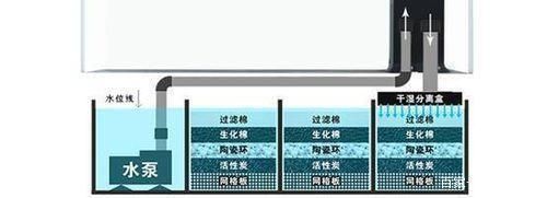 龍魚缸水泵選水體的幾倍：如何選擇適合的龍魚缸水泵 魚缸百科 第4張