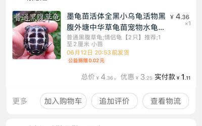 金龍魚的別稱和雅稱：金龍魚的別稱是什么？ 水族問答 第1張