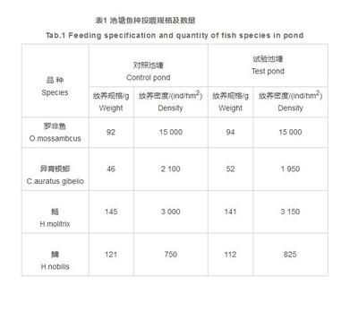 金龍魚的成長速度：金龍魚成長速度受到多種因素影響 水族問答 第1張