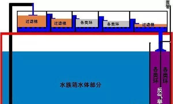 魚缸濾材怎么擺放教學(xué)視頻：魚缸濾材怎么擺放教學(xué)視頻詳情 魚缸百科 第4張