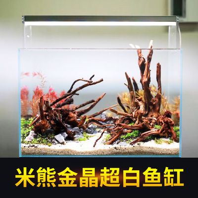 金晶魚(yú)缸怎么樣好用嗎：金晶超白魚(yú)缸怎么樣？ 魚(yú)缸百科 第5張