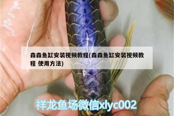 森森h(huán)r300魚缸安裝視頻：森森h(huán)r300魚缸安裝視頻展示了如何將一個標(biāo)準(zhǔn)的魚缸安裝到您的水族箱中