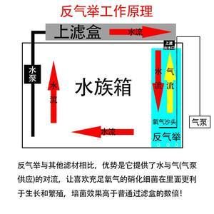 魚缸水泵的工作原理圖：魚缸水泵的工作原理 魚缸百科 第4張