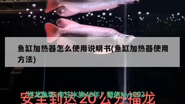 魚(yú)缸加熱治療效果評(píng)估：魚(yú)缸加熱器對(duì)水族箱水溫的控制和治療效果的評(píng)估 魚(yú)缸百科 第1張