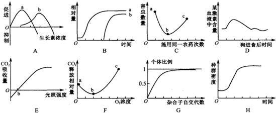 金龍魚的掛面：金龍魚掛面的主要特點(diǎn) 水族問(wèn)答 第2張