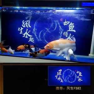 龍魚魚缸背景圖 魚子醬：龍魚魚缸背景圖以傳統(tǒng)中國水墨風(fēng)格為特點為特點 龍魚百科 第5張