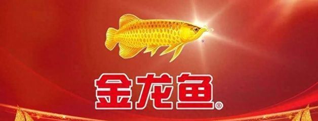 龍魚狀態(tài)不好的表現(xiàn)：如何改善龍魚的水質(zhì)環(huán)境，龍魚融鰭現(xiàn)象的處理方法 龍魚百科 第5張