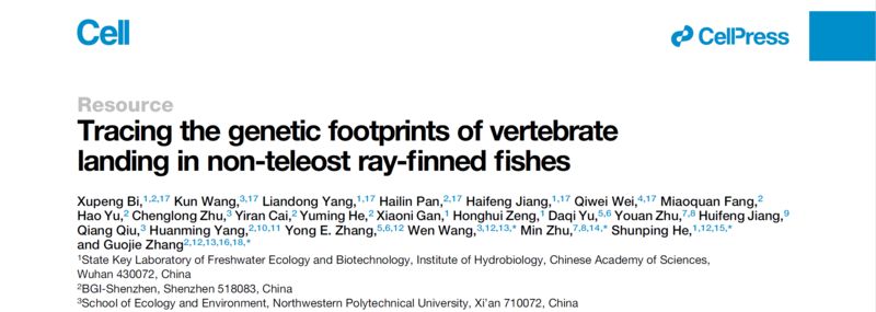 金龍魚的配料表怎么看：金龍魚的配料列表 水族問答 第2張