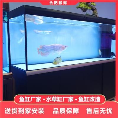 龍魚(yú)缸什么品牌好