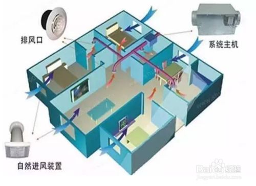 如何預防魚缸水溫過高：夏季魚缸水溫調(diào)控的科學方法分享,魚缸水溫調(diào)控的科學方法 魚缸百科 第5張