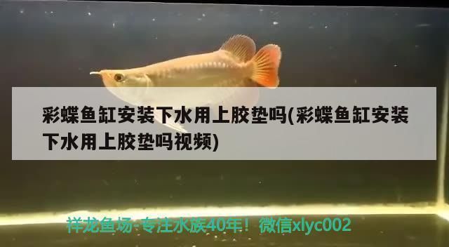 佳寶魚缸型號(hào)及價(jià)格 魚缸百科 第3張