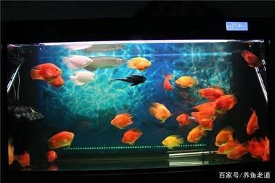 魚缸水泵不好啟動是什么原因：魚缸水泵不好啟動可能由多種因素引起魚缸水泵不好啟動 魚缸百科 第4張