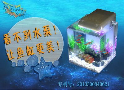 魚缸魔方怎么用：“魚缸魔方怎么用詳情”使用方法包括以下幾個(gè)方面 魚缸百科 第4張