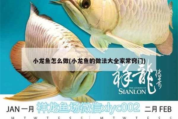 龍魚的家常做法竅門：制作龍魚時(shí)，掌握好這些竅門可以讓美食更加美味可口