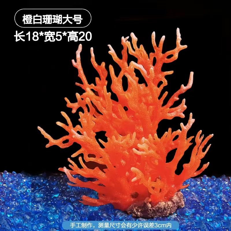 魚(yú)缸珊瑚造景圖片欣賞：精美的魚(yú)缸珊瑚造景圖片欣賞 魚(yú)缸百科 第2張