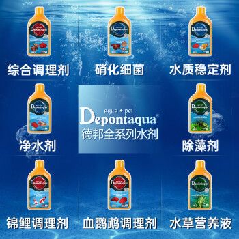 大禹水族魚缸怎么樣好用嗎：大禹水族魚缸好用嗎 魚缸百科 第5張