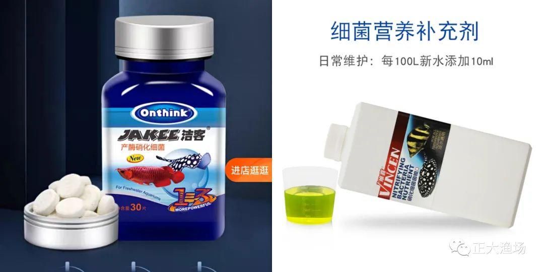 紅龍魚眼睛有白點換水加溫有用嗎：紅龍魚眼睛出現(xiàn)白點可能是由多種原因引起的 紅龍魚百科 第5張