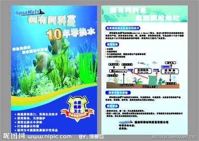 龍魚蒙眼爛眼怎么辦：龍魚蒙眼爛眼治療方法