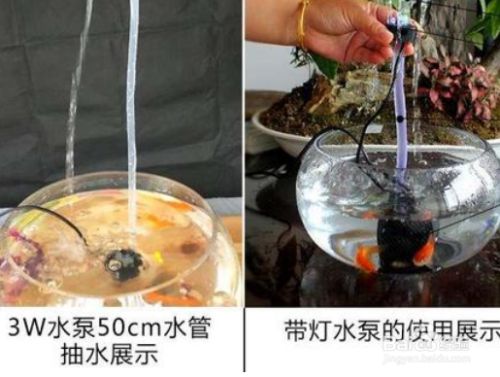 魚缸換水最佳時機選擇：魚缸換水的最佳時機應綜合考慮魚的活躍時段、季節(jié)變化、水質狀況