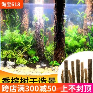 樹干魚缸造景：樹干魚缸造景的網站推薦 魚缸百科 第2張