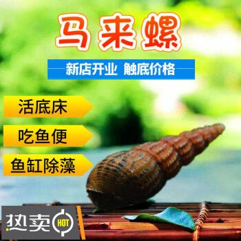 榮郁魚缸：榮郁魚缸怎么樣？ 魚缸百科 第1張