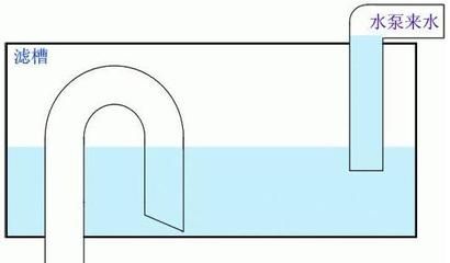 魚缸虹吸原理圖視頻大全：魚缸虹吸原理圖視頻 魚缸百科 第4張
