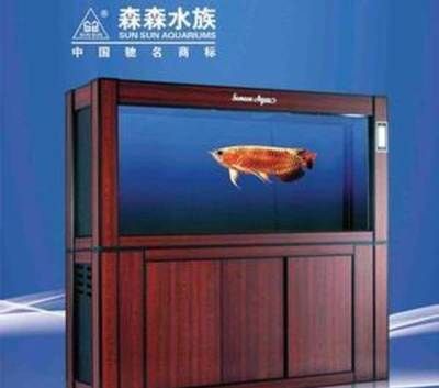 索浦魚缸品牌商標注冊：索浦魚缸品牌商標注冊成功后的維權(quán)措施如何查詢商標注冊狀態(tài) 魚缸百科 第1張