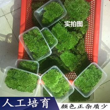 異景園魚缸：異景園魚缸的相關(guān)產(chǎn)品詳情 魚缸百科 第5張