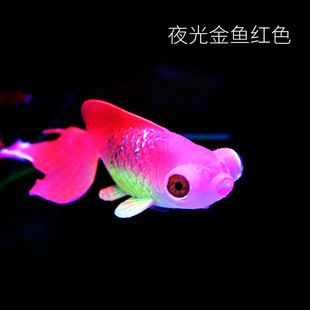 水母 魚缸：水族景觀工程案例欣賞，水母缸日常維護(hù)要點 魚缸百科 第2張