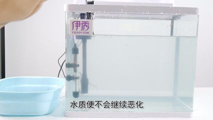 魚缸晶鹽怎么使用：魚缸晶鹽怎么使用詳情 魚缸百科 第4張