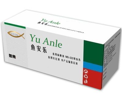 金龍魚的最好品種有哪些：金龍魚品種中哪種最耐養(yǎng)， 水族問答 第3張