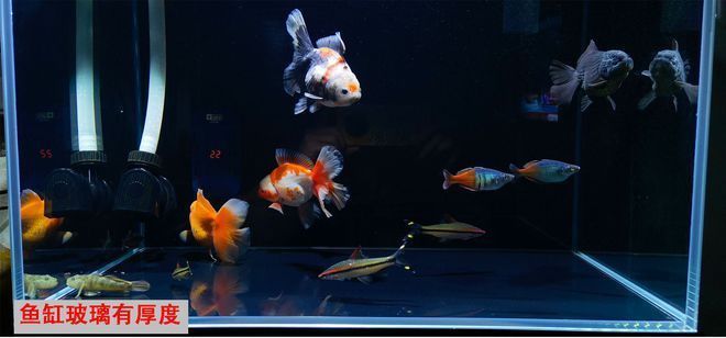 不規(guī)則魚缸容積計算實例：不規(guī)則魚缸的容積計算 魚缸百科 第2張