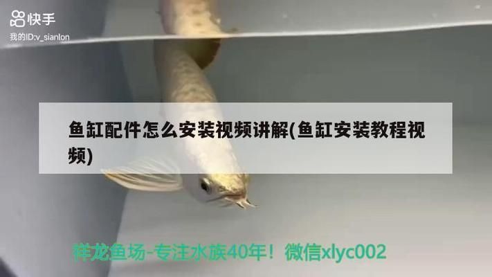 魚缸安裝說明視頻教程：如何正確安裝魚缸 魚缸百科 第1張