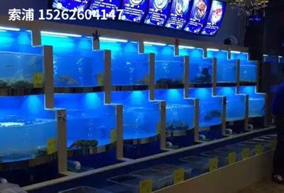 索浦魚(yú)缸售后電話是多少：上海索浦水族科技 魚(yú)缸百科 第2張