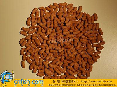 紅龍魚飼料品質(zhì)排名榜：紅龍魚飼料品牌品牌排行榜 紅龍魚百科 第2張