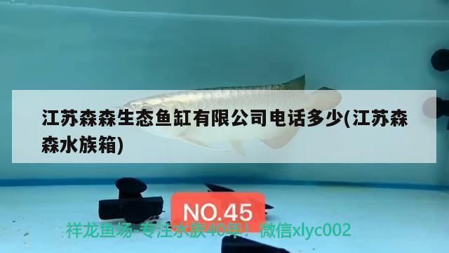 森森魚缸公司電話：森森魚缸加盟條件 魚缸百科 第1張