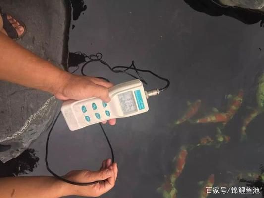 錦鯉魚缸過濾棉清洗技巧：錦鯉魚缸過濾棉怎么清洗 魚缸百科 第5張