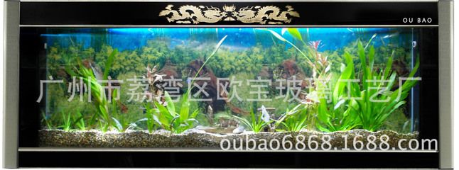 歐寶魚缸廠家介紹圖片高清：廣州歐寶魚缸廠家 魚缸百科 第3張