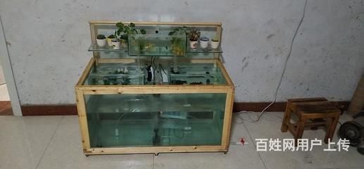 魚缸DIY：生態(tài)魚缸設計要點解析