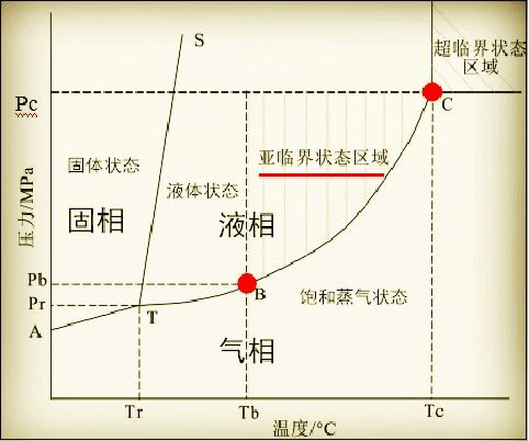 金龍魚(yú)多大才會(huì)變成金色：金龍魚(yú)什么時(shí)候開(kāi)始長(zhǎng)出金色鱗片？ 水族問(wèn)答 第1張