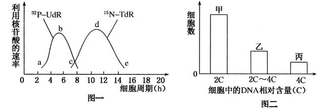 金龍魚多大開始用側(cè)燈：側(cè)燈對金龍魚的影響 水族問答 第1張