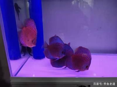 森森魚缸使用說明：森森魚缸使用說明：森森魚缸的使用說明