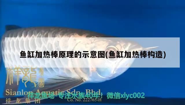 魚(yú)缸加熱棒好不好：如何選擇合適的魚(yú)缸加熱棒 魚(yú)缸百科 第4張