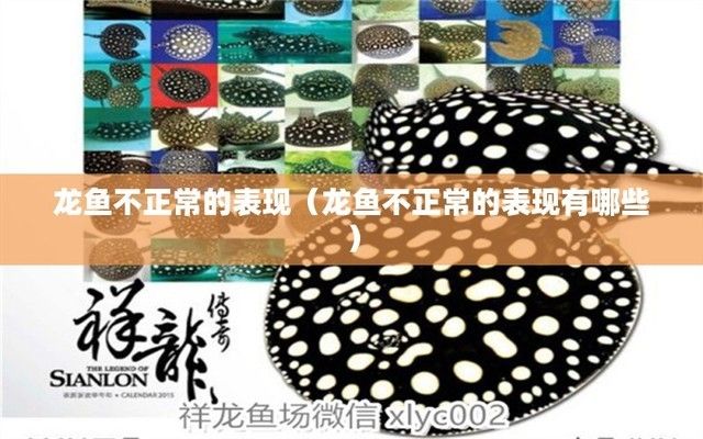 龍魚一會趴缸一會游姿不正常怎么辦呀：如何判斷龍魚是否因疾病趴缸？ 龍魚百科 第5張