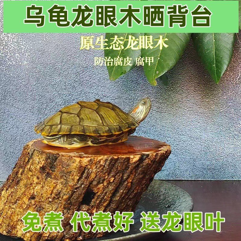 龍眼木放魚缸里的作用是什么：龍眼木在魚缸中的作用 魚缸百科 第4張