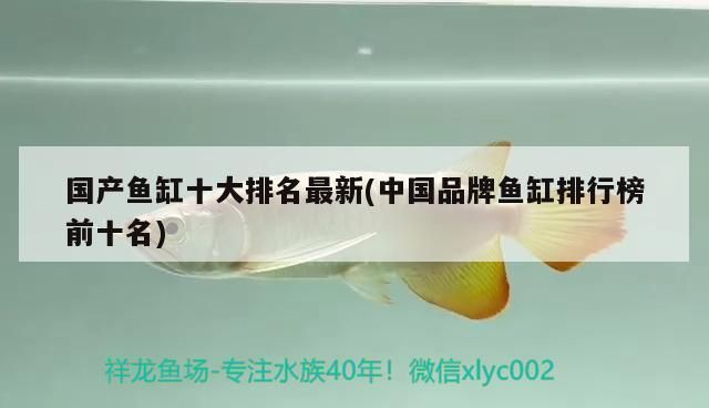 品牌魚缸排行榜最新：2025年最新發(fā)布的魚缸品牌排行榜 魚缸百科 第4張