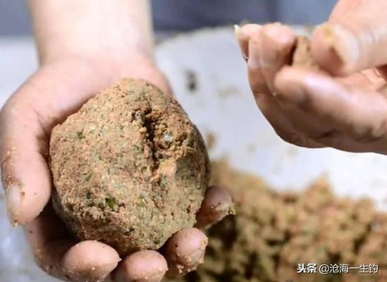 金龍魚多少錢一條最貴的：金龍魚多少錢一條最貴的？ 水族問答 第2張